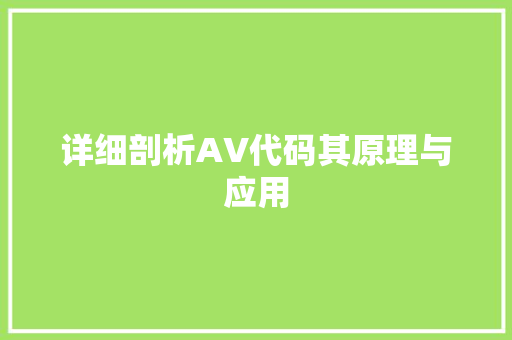详细剖析AV代码其原理与应用