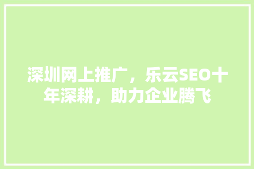 深圳网上推广，乐云SEO十年深耕，助力企业腾飞