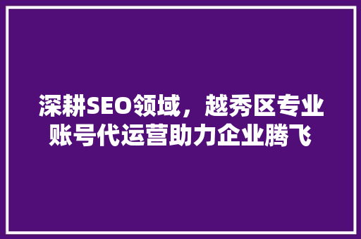 深耕SEO领域，越秀区专业账号代运营助力企业腾飞
