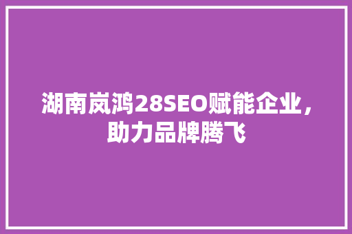 湖南岚鸿28SEO赋能企业，助力品牌腾飞