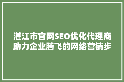 湛江市官网SEO优化代理商助力企业腾飞的网络营销步骤