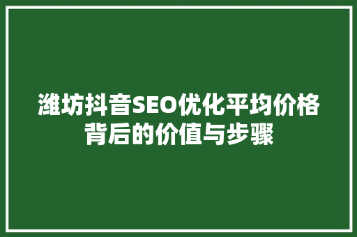 潍坊抖音SEO优化平均价格背后的价值与步骤