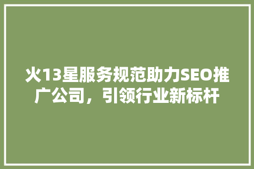 火13星服务规范助力SEO推广公司，引领行业新标杆