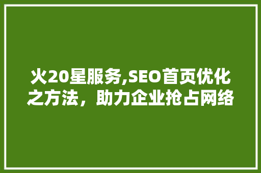火20星服务,SEO首页优化之方法，助力企业抢占网络营销制高点