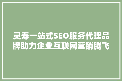 灵寿一站式SEO服务代理品牌助力企业互联网营销腾飞