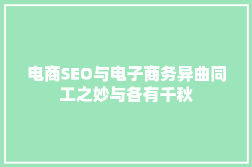 电商SEO与电子商务异曲同工之妙与各有千秋