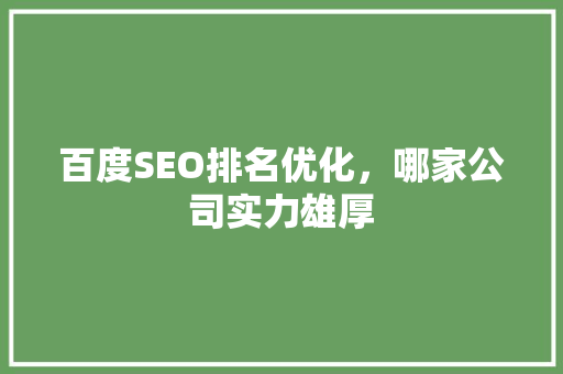 百度SEO排名优化，哪家公司实力雄厚