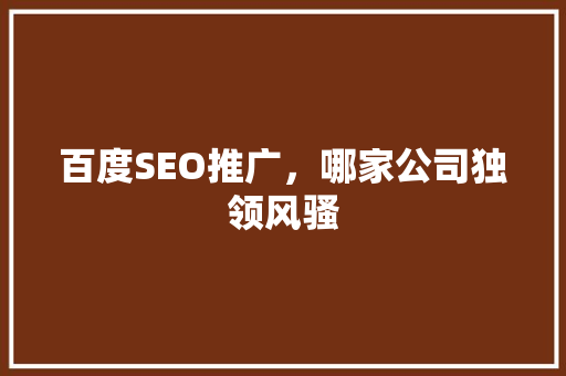 百度SEO推广，哪家公司独领风骚
