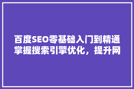 百度SEO零基础入门到精通掌握搜索引擎优化，提升网站流量与排名