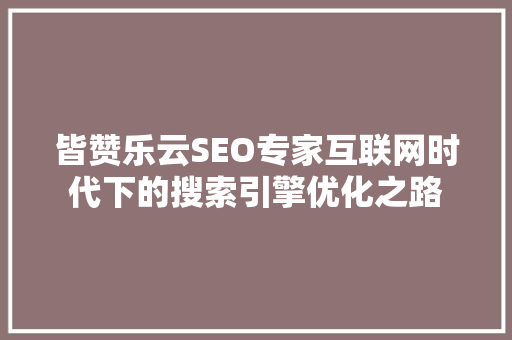皆赞乐云SEO专家互联网时代下的搜索引擎优化之路