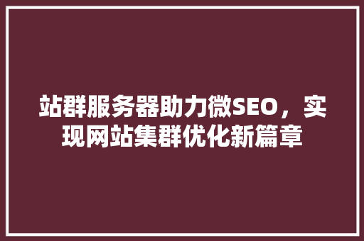 站群服务器助力微SEO，实现网站集群优化新篇章