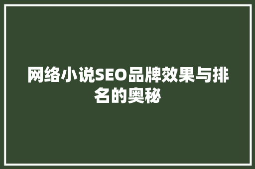 网络小说SEO品牌效果与排名的奥秘