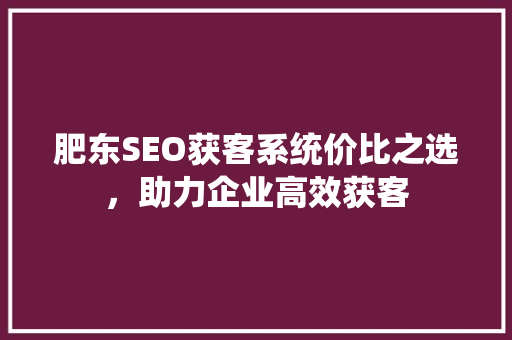 肥东SEO获客系统价比之选，助力企业高效获客