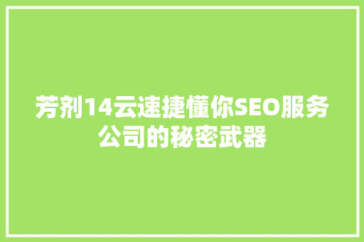 芳剂14云速捷懂你SEO服务公司的秘密武器