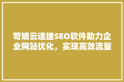 苛嫡云速捷SEO软件助力企业网站优化，实现高效流量转化