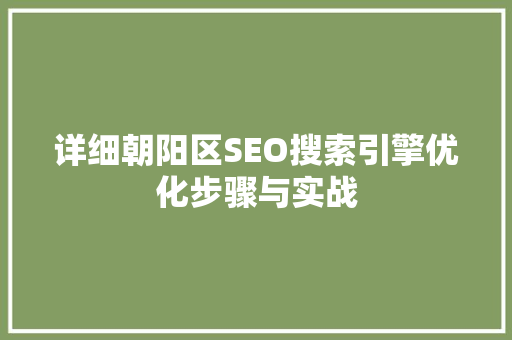 详细朝阳区SEO搜索引擎优化步骤与实战