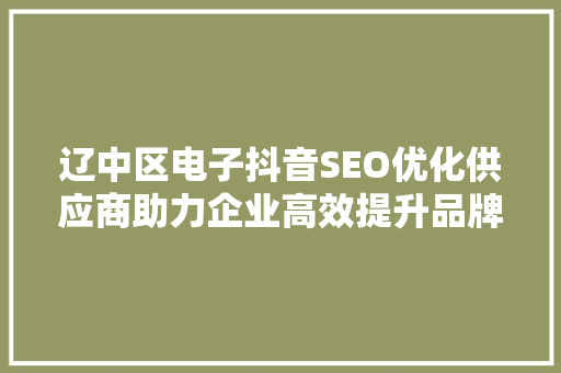 辽中区电子抖音SEO优化供应商助力企业高效提升品牌影响力