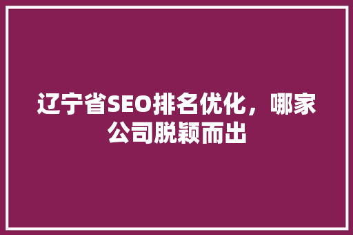 辽宁省SEO排名优化，哪家公司脱颖而出