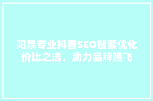 阳泉专业抖音SEO搜索优化价比之选，助力品牌腾飞