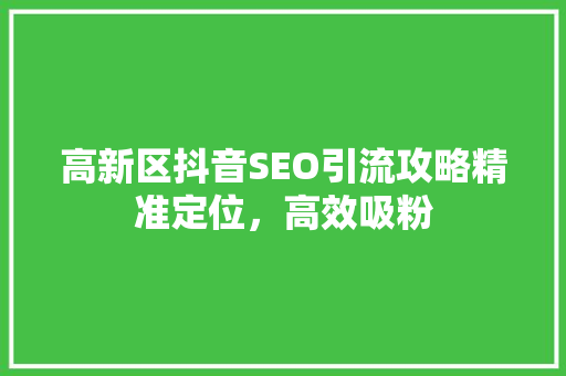 高新区抖音SEO引流攻略精准定位，高效吸粉