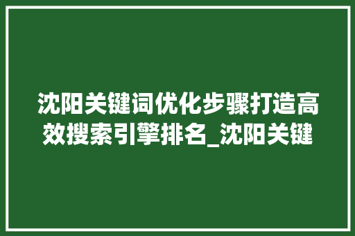 沈阳关键词优化步骤打造高效搜索引擎排名_沈阳关键词优化步骤