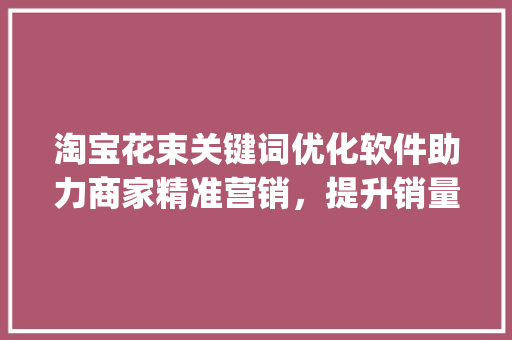 淘宝花束关键词优化软件助力商家精准营销，提升销量新利器_淘宝花束关键词优化软件