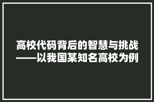 高校代码背后的智慧与挑战——以我国某知名高校为例