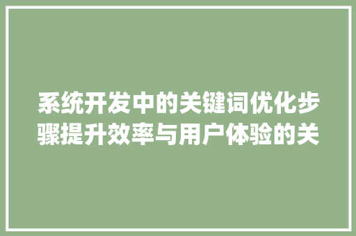 系统开发中的关键词优化步骤提升效率与用户体验的关键_关键词优化系统开发