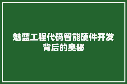 魅蓝工程代码智能硬件开发背后的奥秘