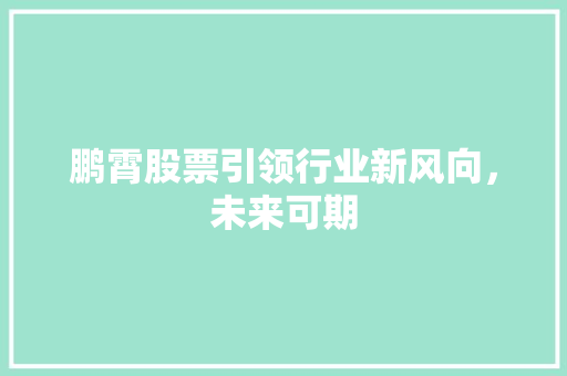 鹏霄股票引领行业新风向，未来可期