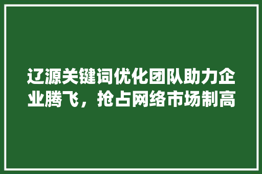 辽源关键词优化团队助力企业腾飞，抢占网络市场制高点_辽源关键词优化团队推荐