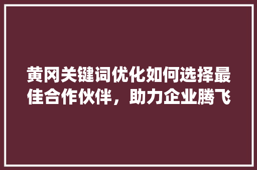 黄冈关键词优化如何选择最佳合作伙伴，助力企业腾飞_黄冈关键词优化哪家好