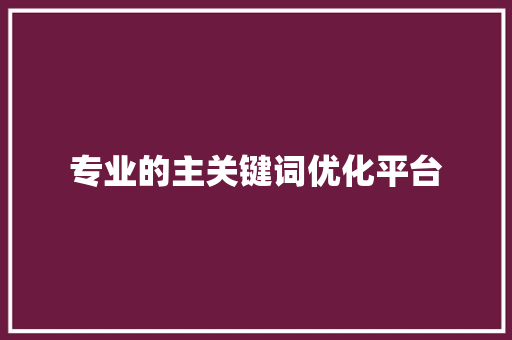 专业的主关键词优化平台