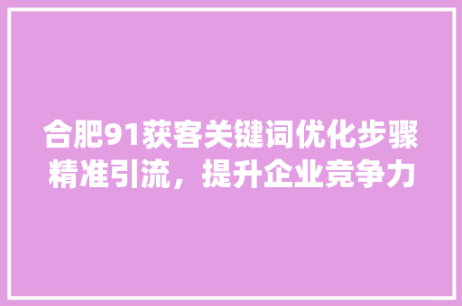 合肥91获客关键词优化步骤精准引流，提升企业竞争力_合肥91获客关键词优化