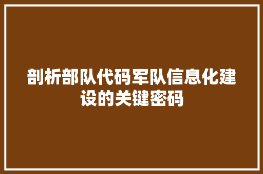 剖析部队代码军队信息化建设的关键密码