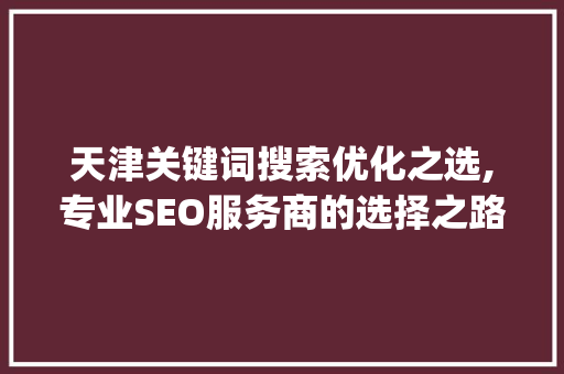 天津关键词搜索优化之选,专业SEO服务商的选择之路_天津关键词搜索优化选哪家