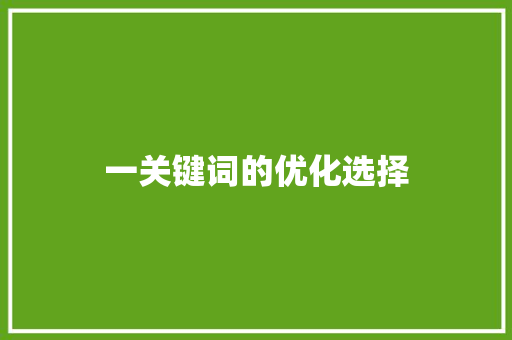 一关键词的优化选择