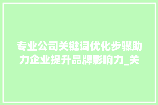 专业公司关键词优化步骤助力企业提升品牌影响力_关键词优化专业公司