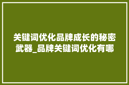 关键词优化品牌成长的秘密武器_品牌关键词优化有哪些