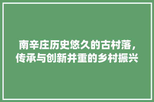 南辛庄历史悠久的古村落，传承与创新并重的乡村振兴典范_南辛庄优化关键词