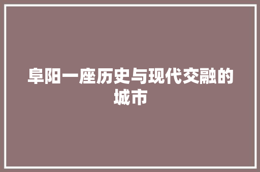 阜阳一座历史与现代交融的城市