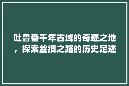 吐鲁番千年古域的奇迹之地，探索丝绸之路的历史足迹_吐鲁番关键词优化工具
