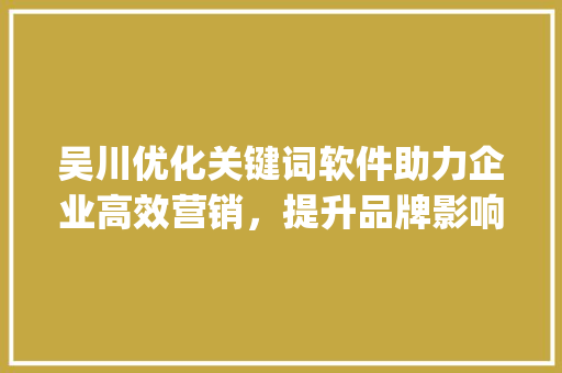 吴川优化关键词软件助力企业高效营销，提升品牌影响力_吴川优化关键词软件