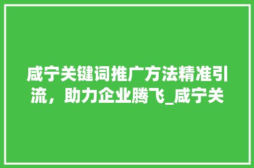 咸宁关键词推广方法精准引流，助力企业腾飞_咸宁关键词推广方法优化