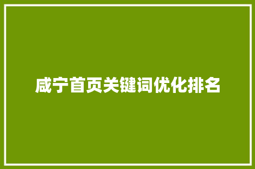 咸宁首页关键词优化排名
