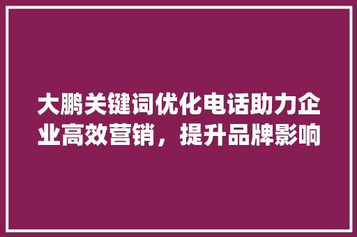 大鹏关键词优化电话助力企业高效营销，提升品牌影响力_大鹏关键词优化电话