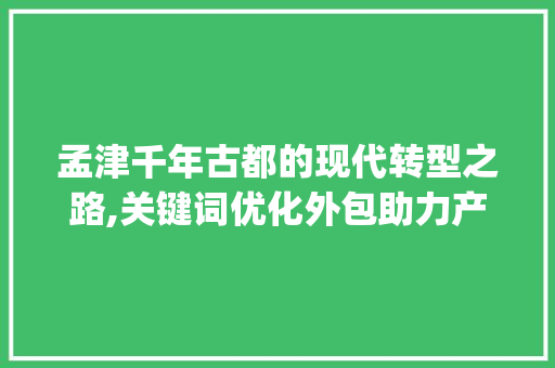 孟津千年古都的现代转型之路,关键词优化外包助力产业升级_孟津关键词优化外包