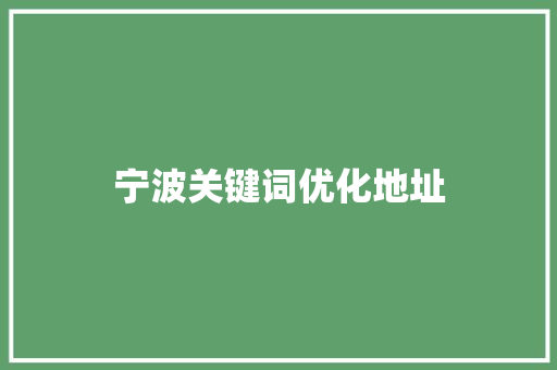 宁波关键词优化地址
