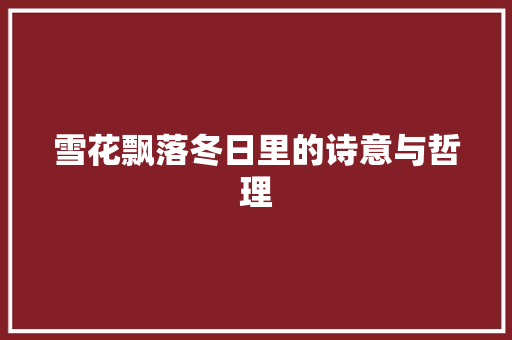 雪花飘落冬日里的诗意与哲理