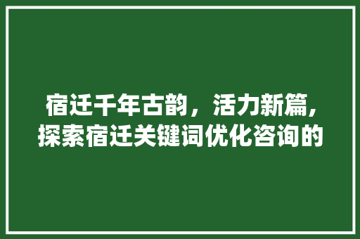 宿迁千年古韵，活力新篇,探索宿迁关键词优化咨询的魅力_宿迁关键词优化咨询